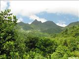 Bosque Nacional El Yunque - LUQUILLO